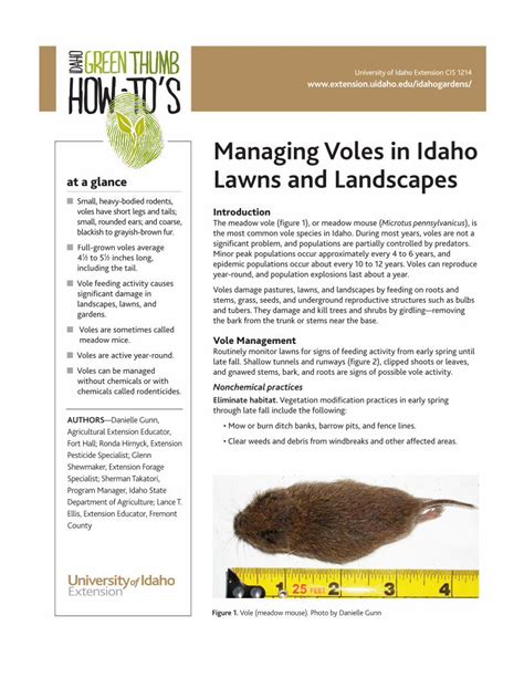 voles in idaho|Managing Voles in Idaho Lawns and Landscapes